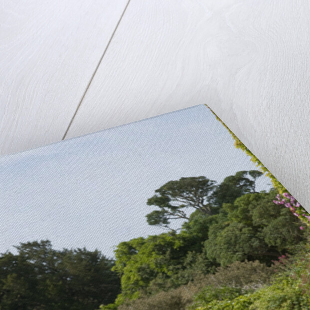 1937 SS 100 by Unknown