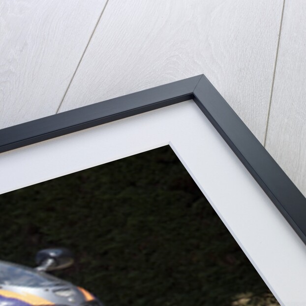 1996 Honda 900 CBR Fireblade by Unknown