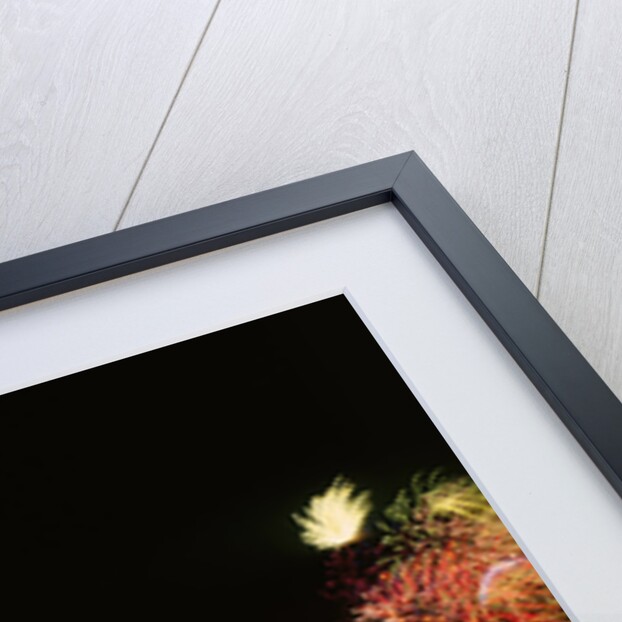 Fireworks at Palace House by Anonymous