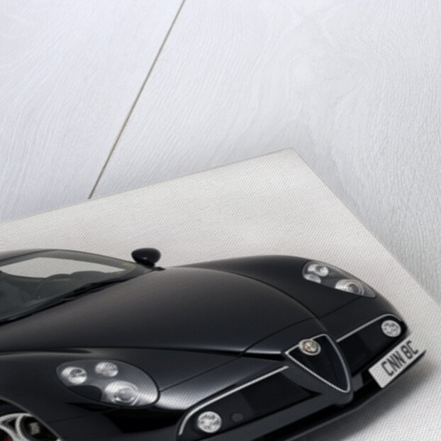 2010 Alfa Romeo 8C Competizione by Unknown