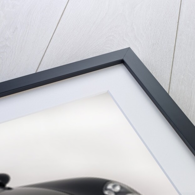 2010 Alfa Romeo 8C Competizione by Unknown