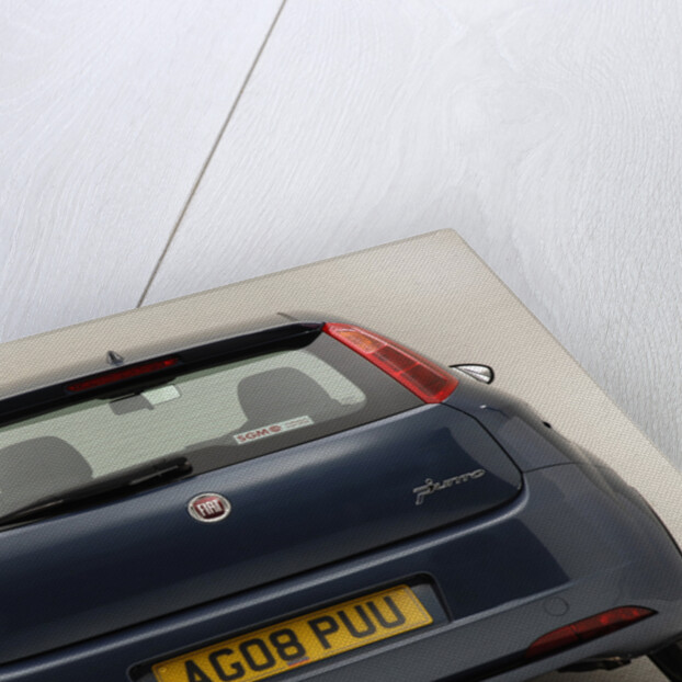 2008 Fiat Punto by Unknown