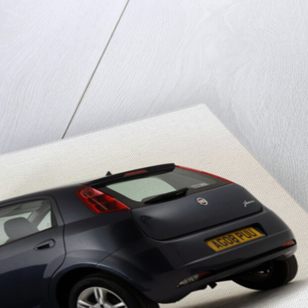 2008 Fiat Punto by Unknown