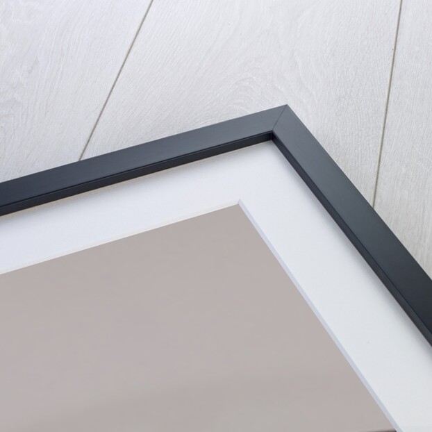 2010 Mercedes Benz SLK 200 by Unknown