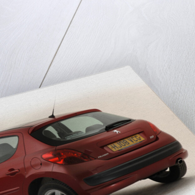 2008 Peugeot 207 by Unknown