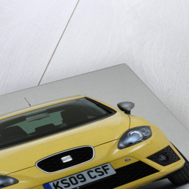 2009 Seat Leon FR by Unknown