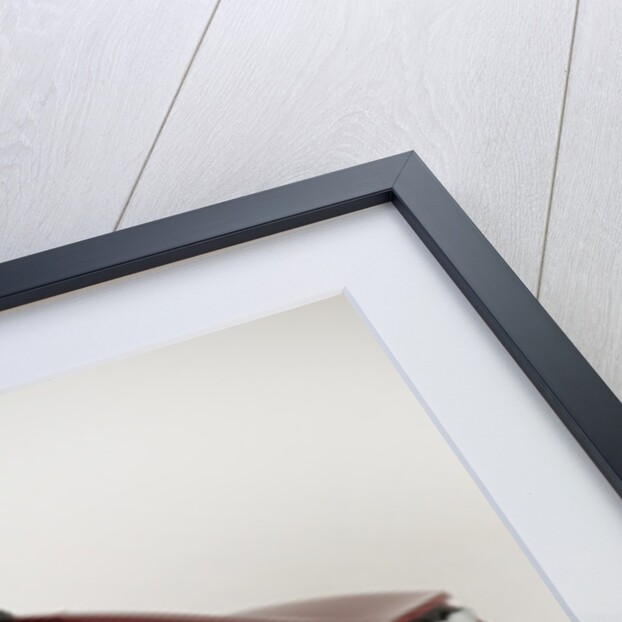 2010 Tesla Roadster by Unknown