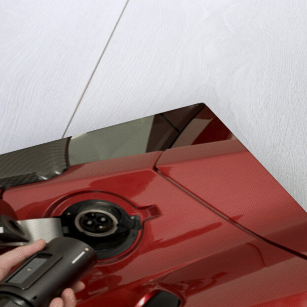 2010 Tesla Roadster by Unknown