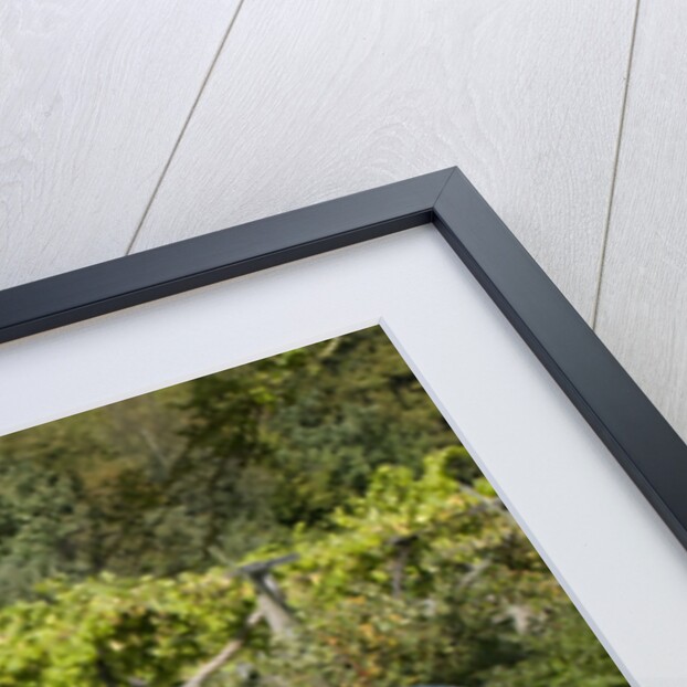 1964 AC Cobra MKII 289 by Unknown