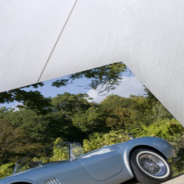 1964 AC Cobra MKII 289 by Unknown