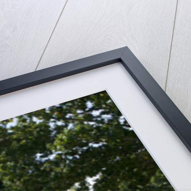 1964 AC Cobra MKII 289 by Unknown