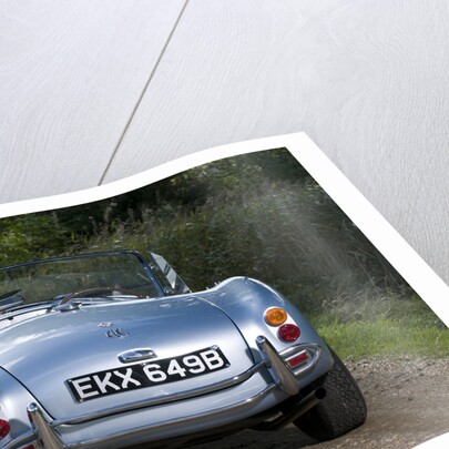 1964 AC Cobra MKII 289 by Unknown