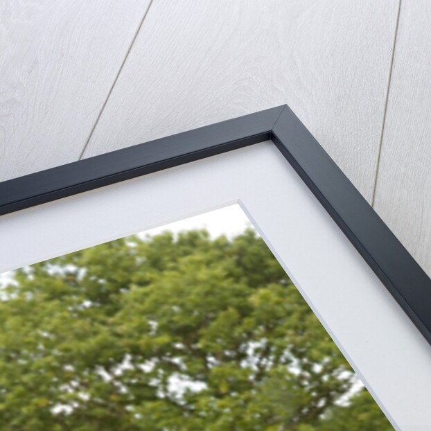 2010 Porsche Cayman by Unknown