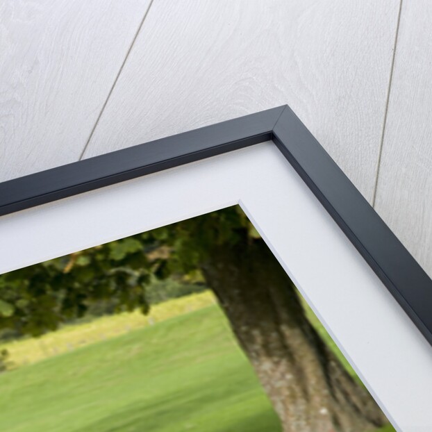 2010 Porsche Panamera by Unknown