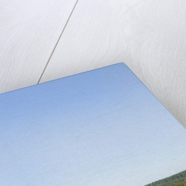 2009 BMW 123d by Unknown