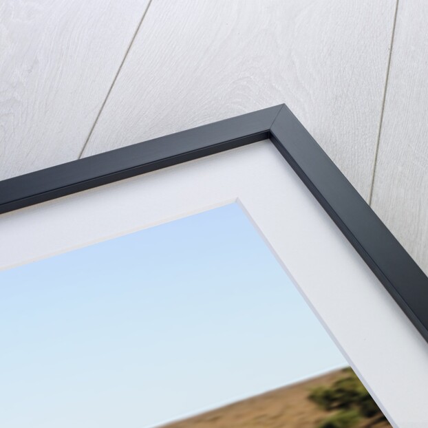 2009 BMW 123d by Unknown