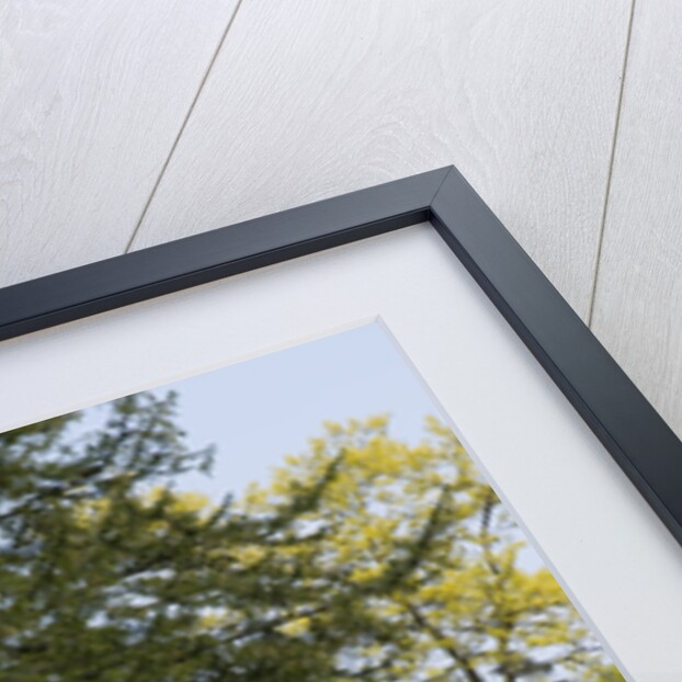 2011 Rolls Royce Ghost by Unknown