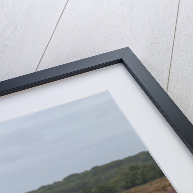 2011 Volkswagen Fox Urban by Unknown