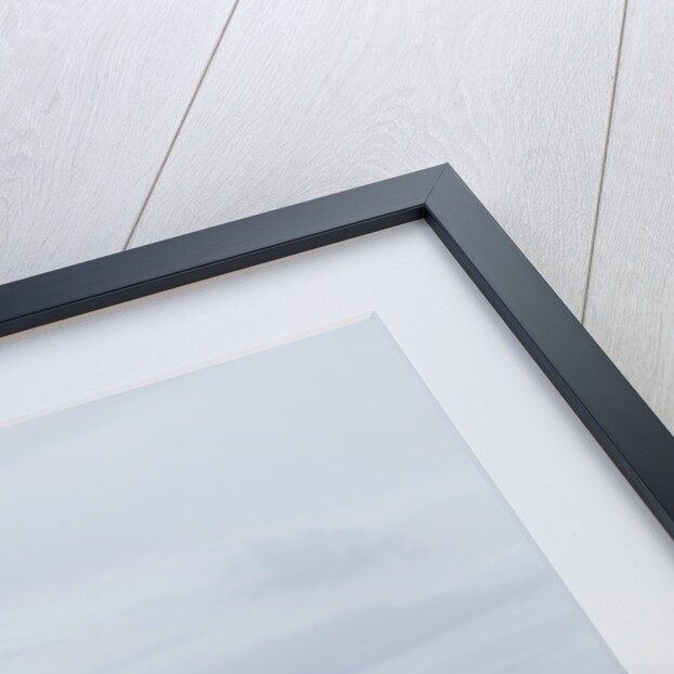 2011 Volkswagen Fox Urban by Unknown