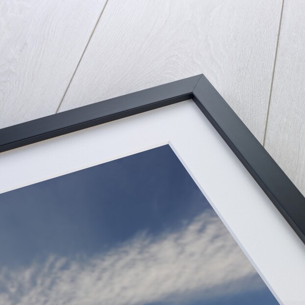 1961 Aston Martin DB4 GT by Unknown