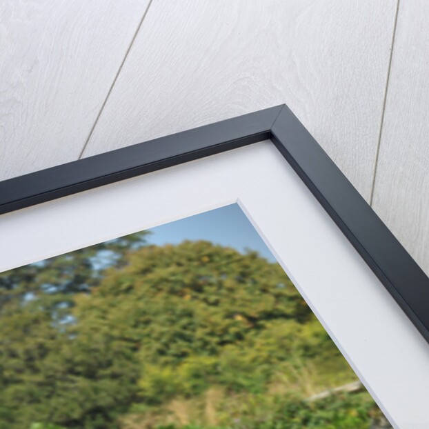 1961 Aston Martin DB4 GT by Unknown