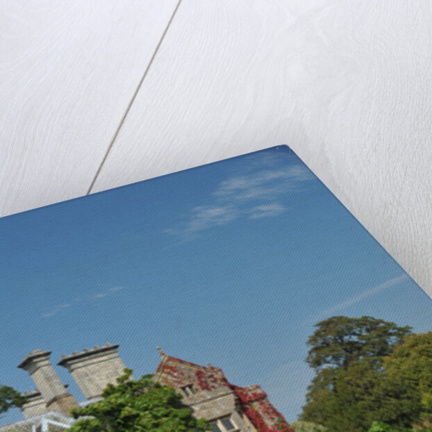 1961 Aston Martin DB4 GT by Unknown