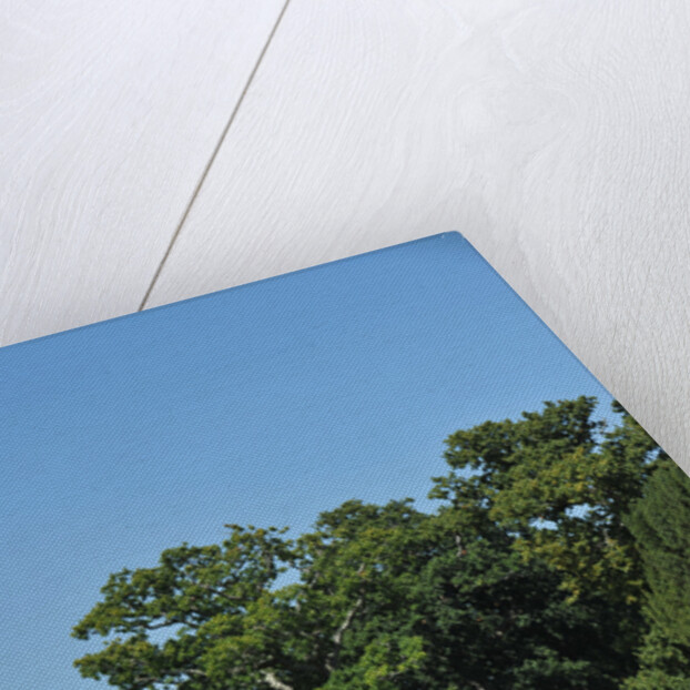 1961 Aston Martin DB4 GT by Unknown