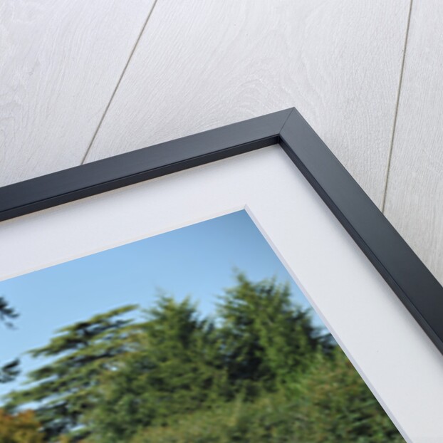 1961 Aston Martin DB4 GT by Unknown