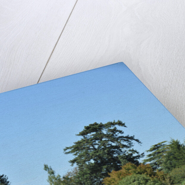 1961 Aston Martin DB4 GT by Unknown