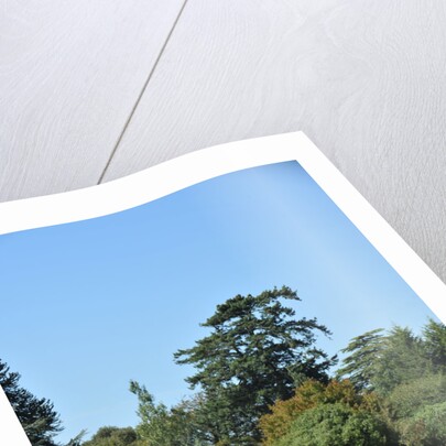 1961 Aston Martin DB4 GT by Unknown