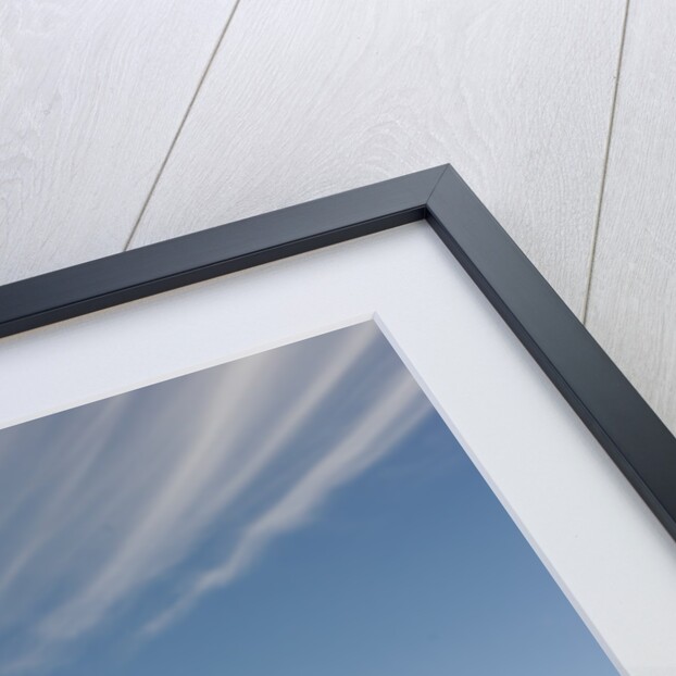 1961 Aston Martin DB4 GT by Unknown