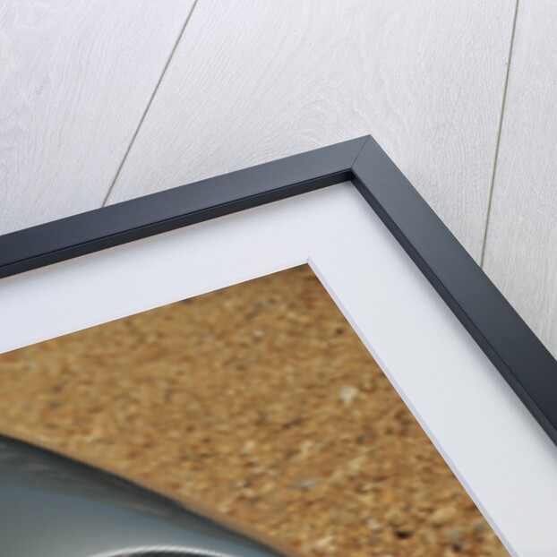 1961 Aston Martin DB4 GT by Unknown