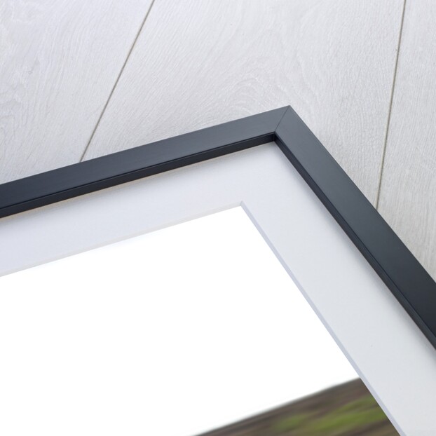 2011 Volkswagen Polo SEL 1.2 Tsi by Unknown