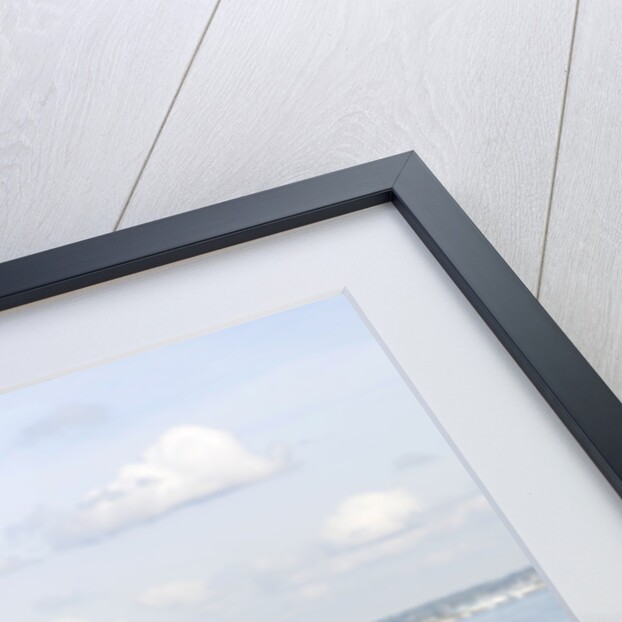 2011 Volkswagen Jetta SE 1.6 Tdi by Unknown