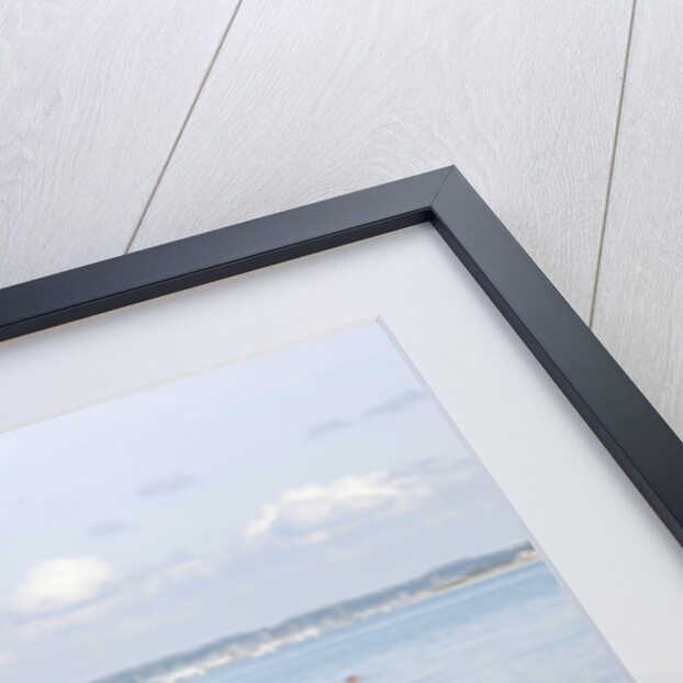 2011 Volkswagen Jetta SE 1.6 Tdi by Unknown