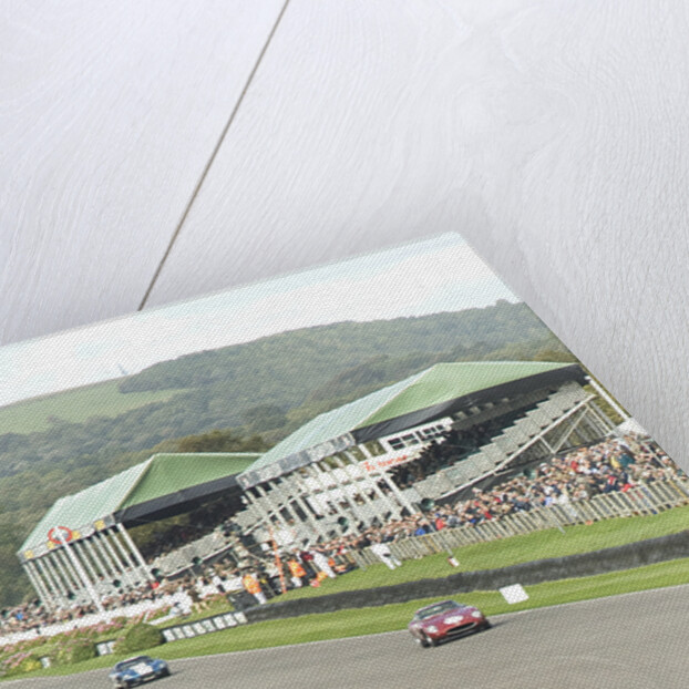 2011 Goodwood Revival Meeting historic sports car racing, Ferrari 250 GTO and AC Cobra at Madgwick by Unknown