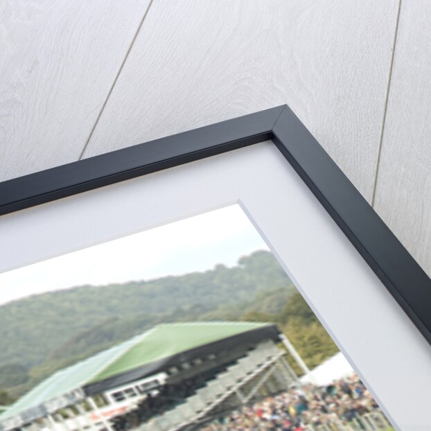 2011 Goodwood Revival Meeting historic sports car racing, Ferrari 250 GTO and AC Cobra at Madgwick by Unknown