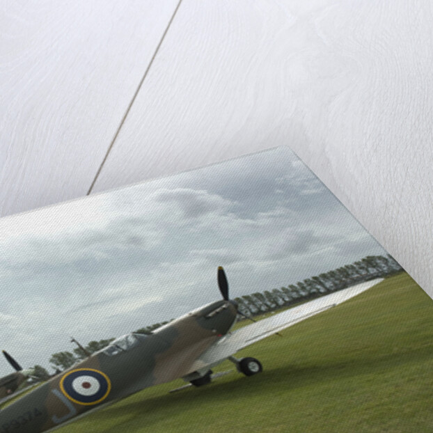 2011 Goodwood Revival Meeting, row of Spitfire Aircraft by Unknown
