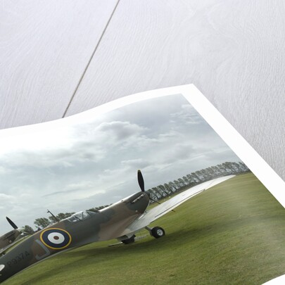 2011 Goodwood Revival Meeting, row of Spitfire Aircraft by Unknown