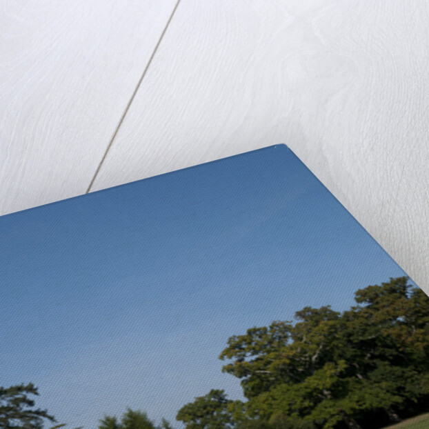 1935 Auburn 851 Speedster by Unknown