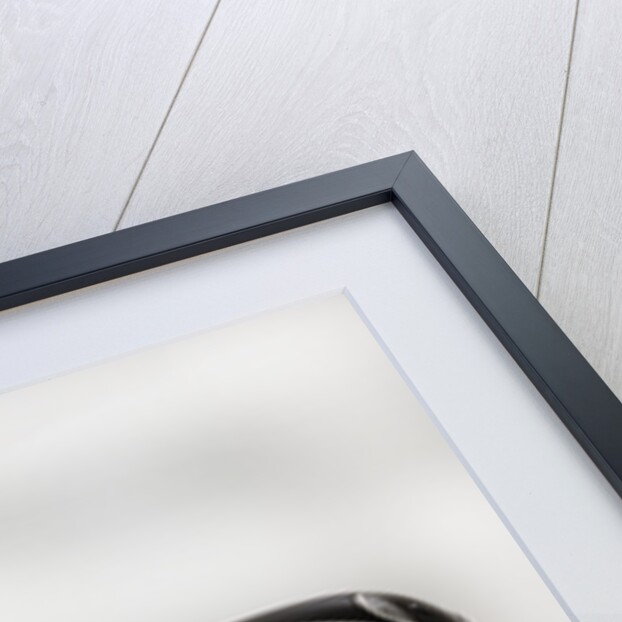 1963 Aston Martin DB4 GT by Unknown