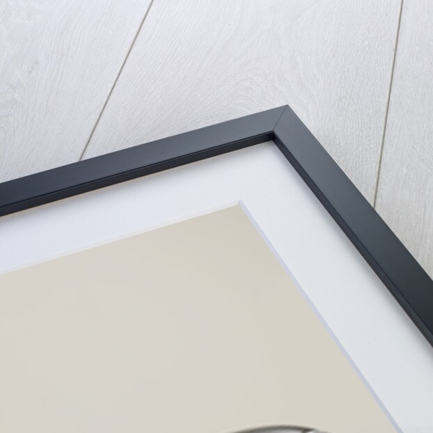 1956 Sunbeam Talbot 90 MK III by Unknown