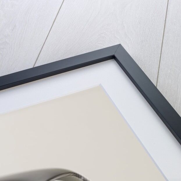 1956 Sunbeam Talbot 90 MK III by Unknown