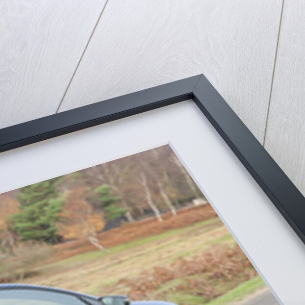 2011 Vokswagen Golf R Tsi by Unknown