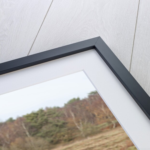 2011 Vokswagen Golf R Tsi by Unknown