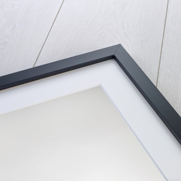 2011 Mini One Convertible by Unknown