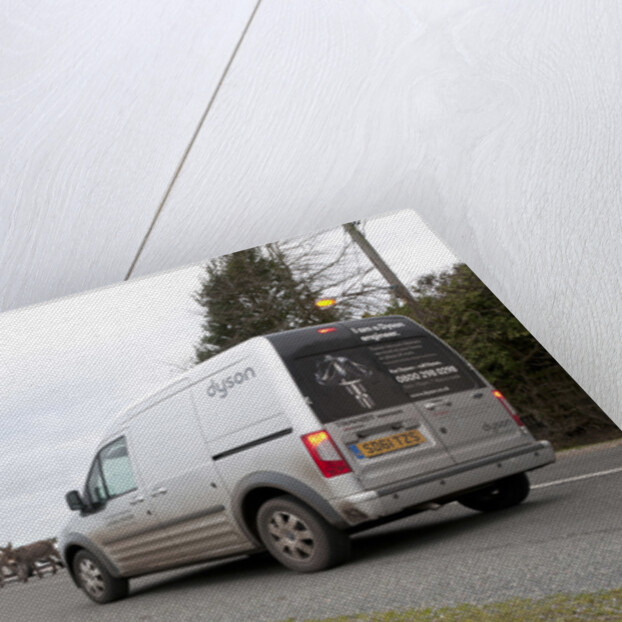 Group of donkeys crossing road and holding up traffic in New Forest 2011 by Unknown