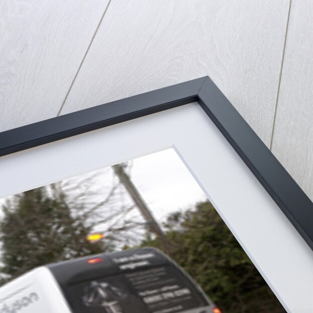 Group of donkeys crossing road and holding up traffic in New Forest 2011 by Unknown