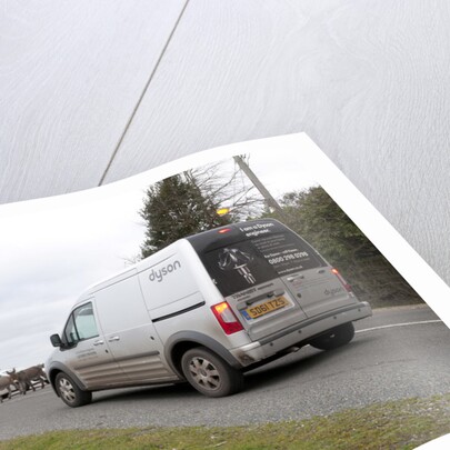 Group of donkeys crossing road and holding up traffic in New Forest 2011 by Unknown