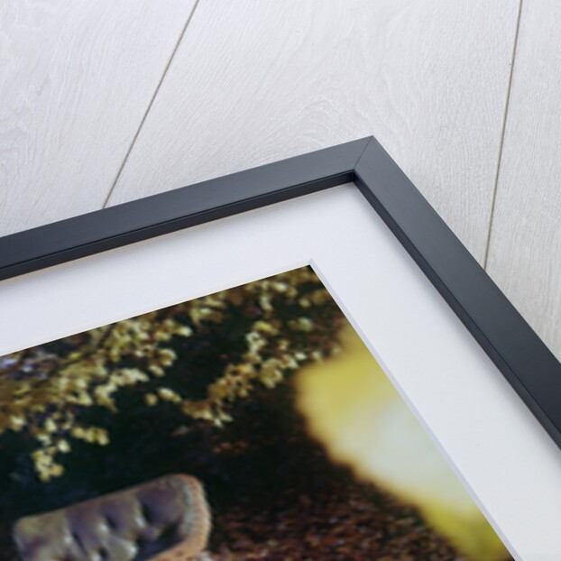 1913 BAT motorcycle with wicker sidecar by Unknown
